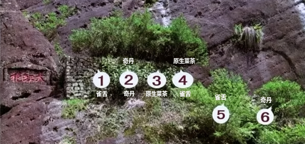 微信图片_2026-06-05_101618_424.png