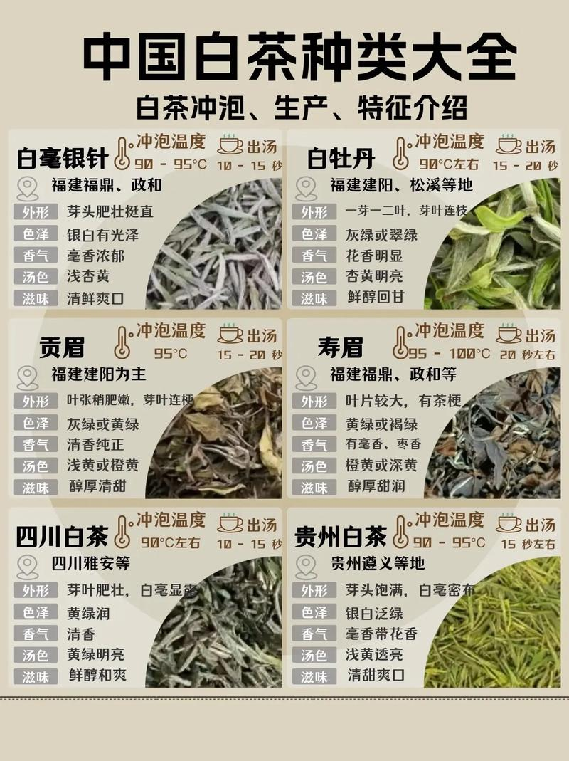 微信图片_2026-06-10_143603_882.png