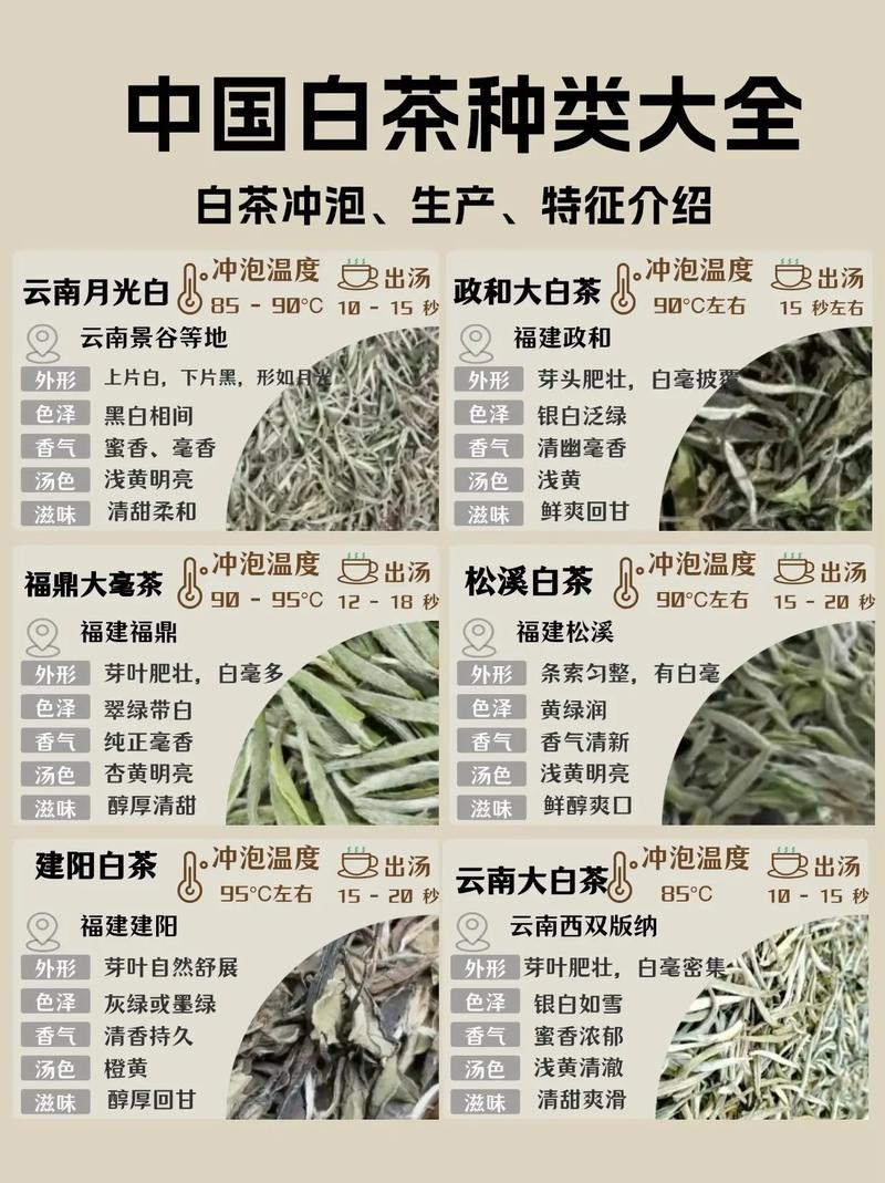 微信图片_2026-06-10_143718_353.png