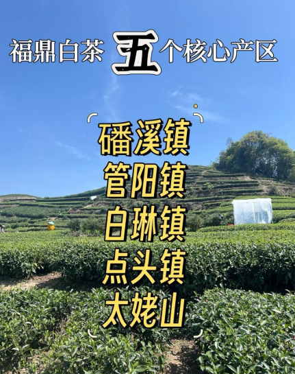 微信图片_20250317151426.png