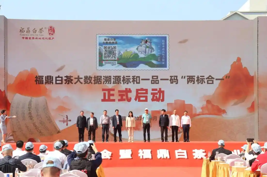 2024年福鼎全市实现茶叶总产量4.1万吨