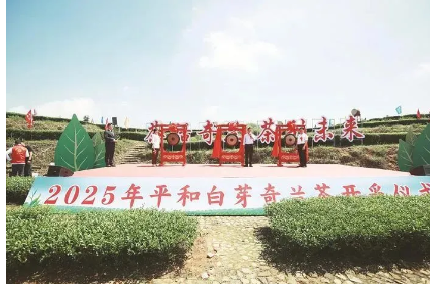 微信图片_20250424193637.png